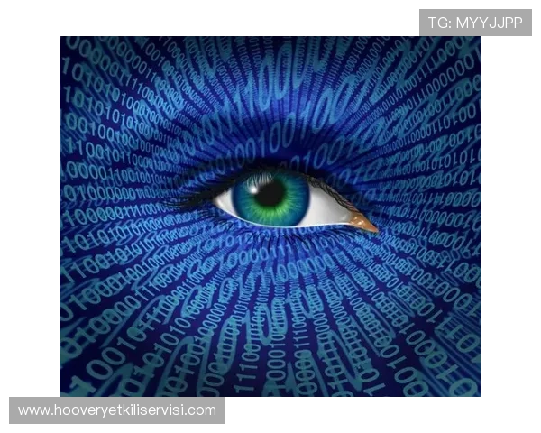 E乐博游戏安全保障措施与用户隐私保护政策全方位解读保障你的权益